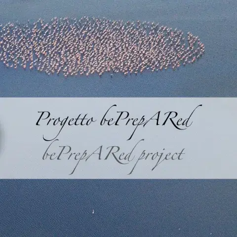Progetto bePrepARed