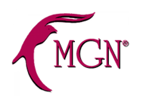 logo MGN Intonaci