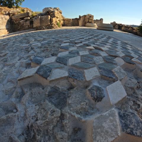 recmag173_navarca-segesta_phVicat