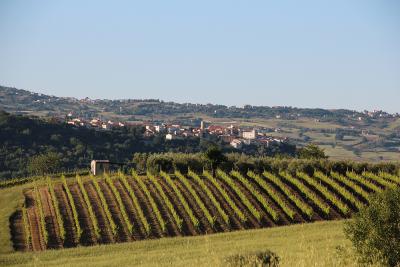 rec148_PaesaggioIrpinia-ph AVerderosa rec148_PaesaggioIrpinia-ph AVerderosa