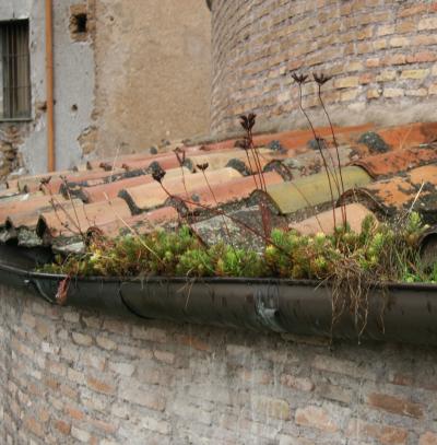 recmag151_TempioRomolo-Fori-Imperiali-Roma_phPGAsparoli